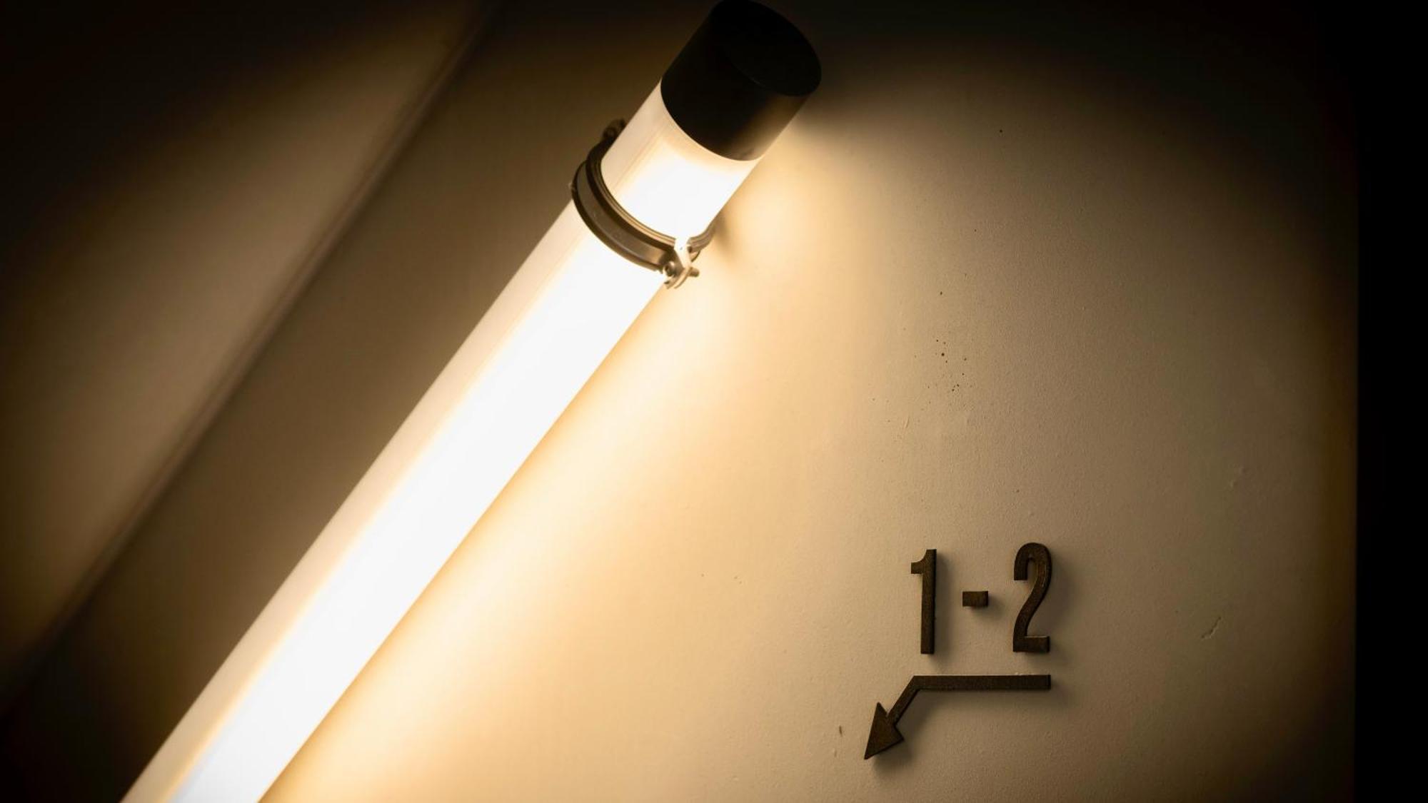 Stadthaus Neckarsulm Serviced Apartments - Stadthaus Heiner Eksteriør billede
